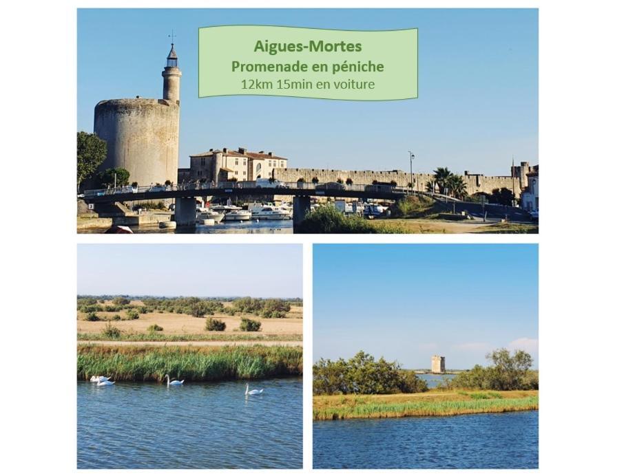 L'Olympe Vue Lac Parking Clim Wifi - Rossiconciergerie - Linge Inclus 라그랑모트 외부 사진
